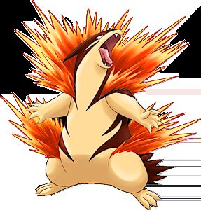 typhlosion mega evolution|gameplay:evolutions [PokéRogue Wiki].